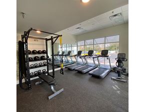 Virginia Beach apartment for rent - the gym has plenty of weights and cardio equipment at the preserve at great neck apartments