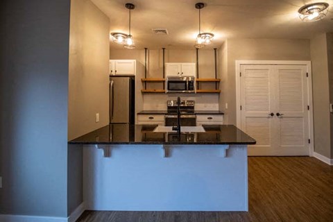 Floor plan for 1 bed, 1 bath, 730 sqft