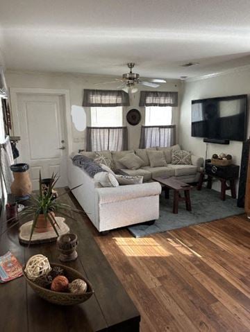 Ocean Springs apartment for rent - a living room with a couch and a television