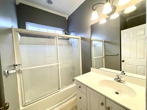 Simpsonville house for rent - a bathroom with a sink and a shower and a mirror