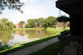 Lombard apartment for rent - A pond in a park with a building in the background.