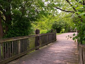 Carol Stream apartment for rent - A wooden bridge in a lush green forest.