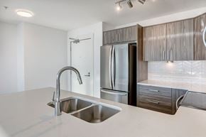 Calgary apartment for rent - a kitchen with a sink and a stainless steel refrigerator