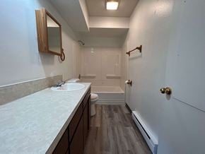 Longview apartment for rent - an empty bathroom with a sink and a toilet