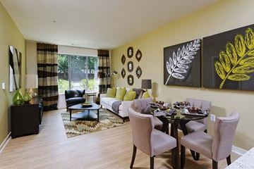 Mclean apartment for rent - a living room with a couch and a table