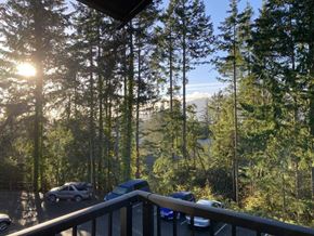 Nanaimo apartment for rent - A sunny day in a forest with cars parked in the background.