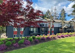 Nanaimo apartment for rent - A modern building with a red tree in front.