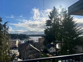 Nanaimo apartment for rent - A view from a balcony overlooking a residential area with houses and trees.