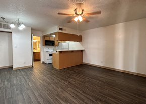 Phoenix apartment for rent - an empty living room with a kitchen and a ceiling fan