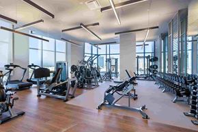 Honolulu apartment for rent - A gym with a variety of equipment including treadmills, weights, and exercise machines.