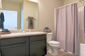 West Des Moines apartment for rent - a bathroom with a sink toilet and a shower