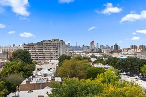 Brooklyn apartment for rent - A cityscape with buildings and trees in the foreground.