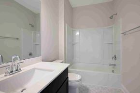 Lake Elmo house for rent - a bathroom with a sink and a toilet and a shower