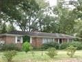 Pensacola house for rent - a house with a yard and trees in front of it