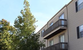 Metairie townhouse for rent - A tree is in front of a building.