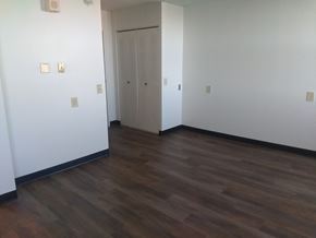 Wilmington apartment for rent - Windsor Apartments