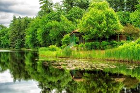 Manchester apartment for rent - pond at the park