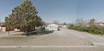 Levelland house for rent - A tree stands in the middle of a dirt road.