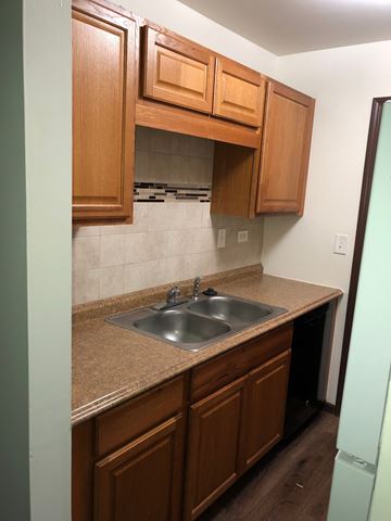 Crystal Lake apartment for rent - A kitchen with brown cabinets and a sink.