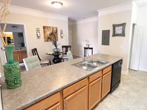 Virginia Beach apartment for rent - the view of a kitchen with a counter top and a sink