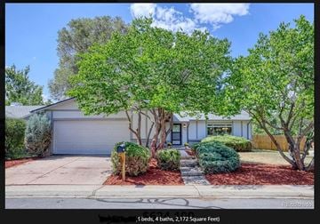 Lakewood house for rent - a house with a tree in the front of it