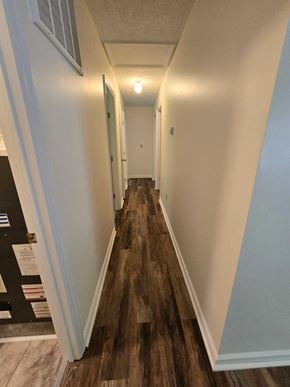 Morehead house for rent - a hallway with wood flooring and white walls and a ceiling with a lamp
