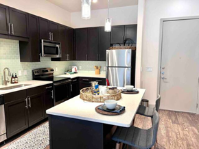 Plano house for rent - a kitchen with black cabinets and a white counter top