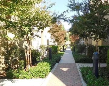 Milpitas house for rent - a sidewalk with trees and houses on the side of it