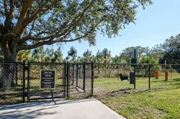 Dog park with obstacles
