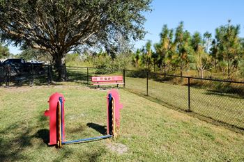 Dog park with obstacles