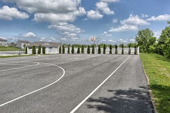 Basketball court