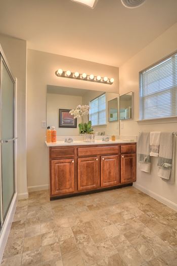 Double bowl vanity