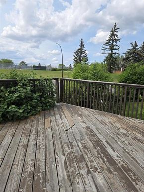 Calgary house for rent - A wooden deck with a view of a grassy field and trees.