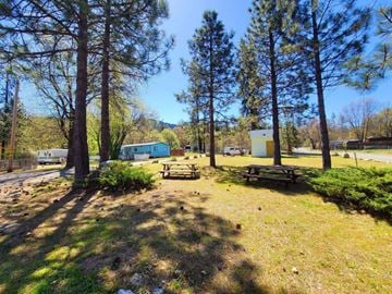 Hayfork apartment for rent - a park with picnic tables and tall trees