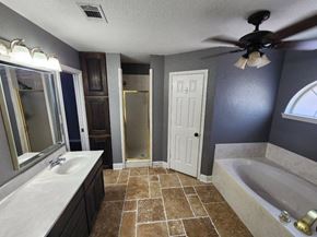 Copperas Cove house for rent - a bathroom with a tub and a sink and a ceiling fan