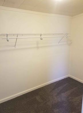 Warren house for rent - Empty room with a white wall and a grey carpet.