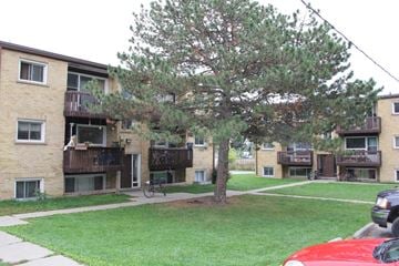 Belleville apartment for rent - A tree in front of apartment buildings.