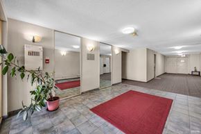 Burnaby apartment for rent - A hallway with a red rug and a potted plant on the left.
