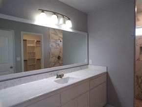 Burnet house for rent - a bathroom with a sink and a large mirror