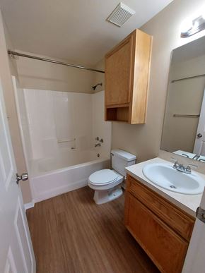 Marble Falls apartment for rent - A bathroom with a toilet, sink, and shower.