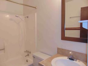 Marble Falls apartment for rent - a bathroom with a sink and a shower and a mirror