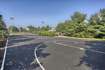 Basketball court