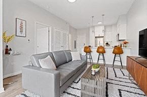 Chicago apartment for rent - A grey couch with a white pillow is in the middle of a room with a black and white rug.