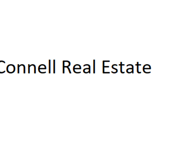 Raeford house for rent - a bedroom with a futon bed and a window