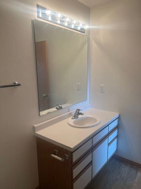 Detroit Lakes apartment for rent - A bathroom with a sink and mirror.