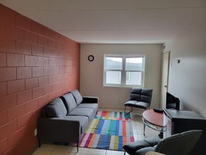 Waterloo apartment for rent - A living room with a grey couch, a black chair, a small table, and a colorful rug.