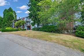 White Rock apartment for rent - A residential area with a house and trees.