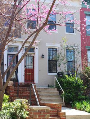 Washington apartment for rent - A house with a red door and a tree with pink flowers in front.