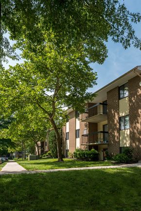 Timonium apartment for rent - A tree in front of a building with a clear blue sky.