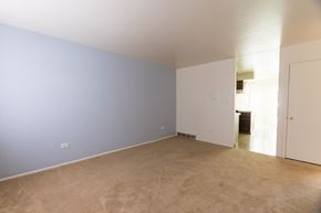 Lakewood apartment for rent - an empty living room with a blue wall and carpet
